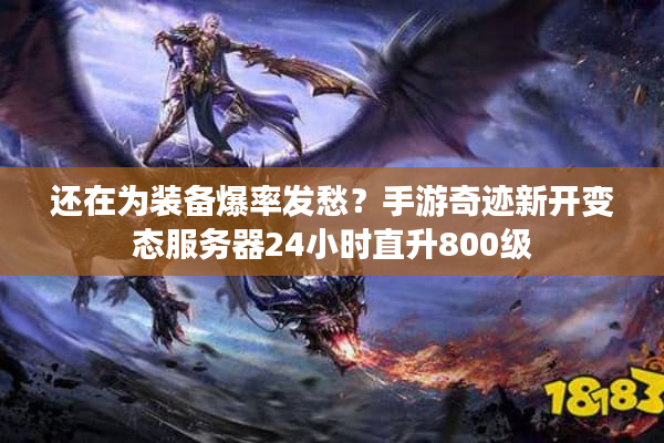 还在为装备爆率发愁？手游奇迹新开变态服务器24小时直升800级