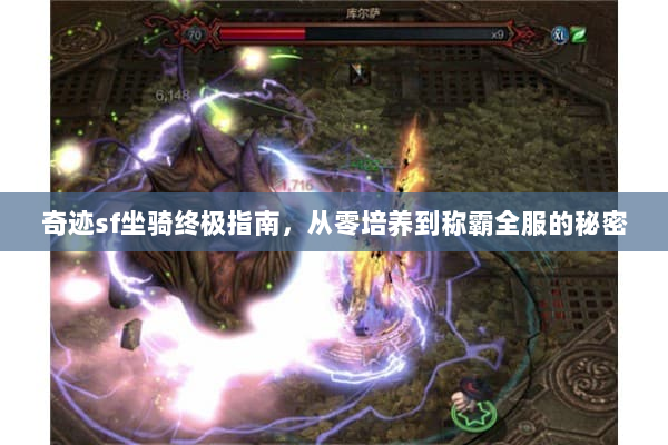 奇迹sf坐骑终极指南，从零培养到称霸全服的秘密