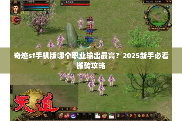 奇迹sf手机版哪个职业输出最高？2025新手必看搬砖攻略