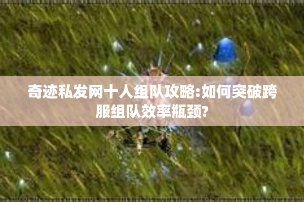奇迹私发网十人组队攻略:如何突破跨服组队效率瓶颈?