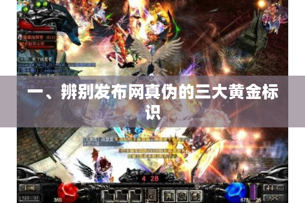 一、辨别发布网真伪的三大黄金标识