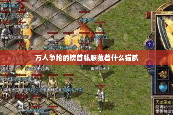 万人争抢的榜首私服藏着什么猫腻