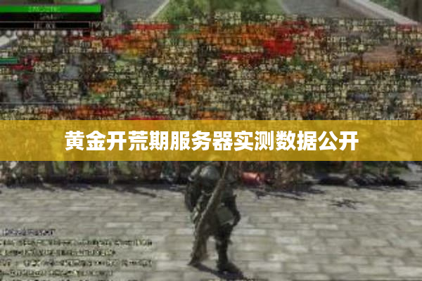 黄金开荒期服务器实测数据公开