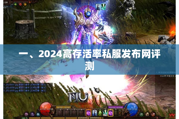 一、2024高存活率私服发布网评测
