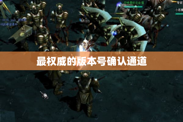 最权威的版本号确认通道