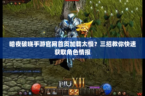 暗夜破晓手游官网首页加载太慢？三招教你快速获取角色情报