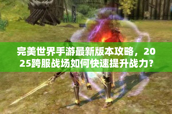 完美世界手游最新版本攻略，2025跨服战场如何快速提升战力？