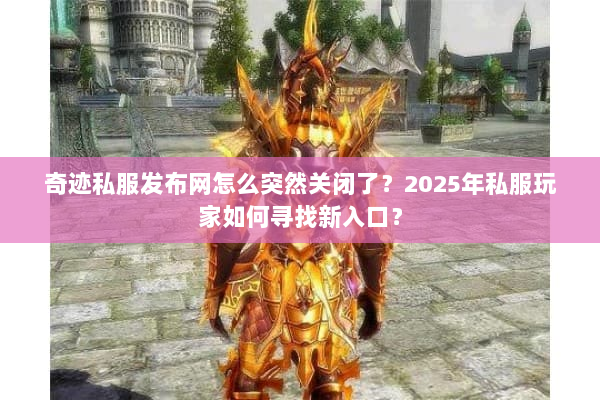 奇迹私服发布网怎么突然关闭了？2025年私服玩家如何寻找新入口？