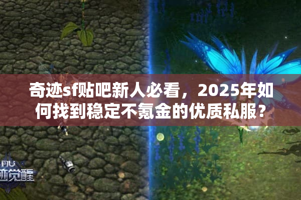 奇迹sf贴吧新人必看，2025年如何找到稳定不氪金的优质私服？