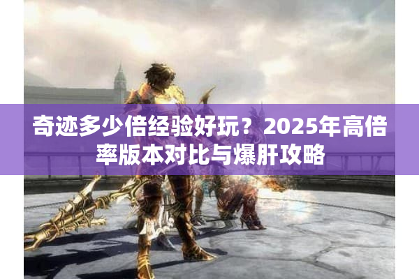 奇迹多少倍经验好玩？2025年高倍率版本对比与爆肝攻略