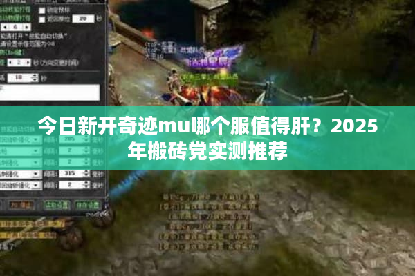 今日新开奇迹mu哪个服值得肝？2025年搬砖党实测推荐