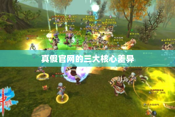 真假官网的三大核心差异 真假官网的三大核心差异