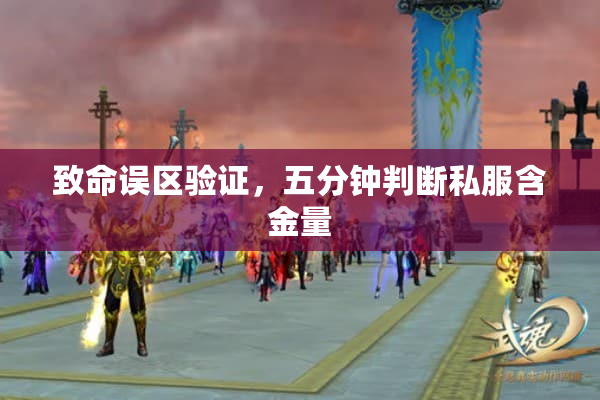 致命误区验证,五分钟判断私服含金量 致命误区验证,五分钟判断私服含金量