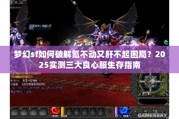 梦幻sf如何破解氪不动又肝不起困局？2025实测三大良心服生存指南