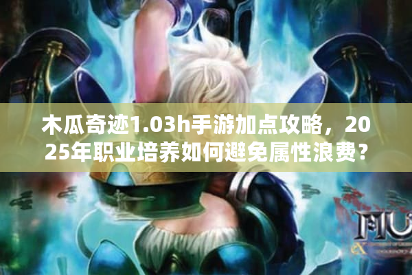 木瓜奇迹1.03h手游加点攻略，2025年职业培养如何避免属性浪费？