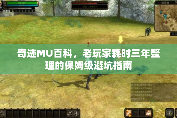 奇迹MU百科,老玩家耗时三年整理的保姆级避坑指南 奇迹MU百科,老玩家耗时三年整理的保姆级避坑指南