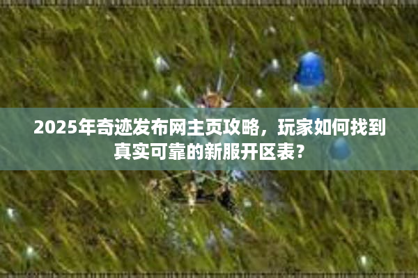 2025年奇迹发布网主页攻略，玩家如何找到真实可靠的新服开区表？