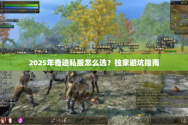 2025年奇迹私服怎么选?独家避坑指南 2025年奇迹私服怎么选?独家避坑指南