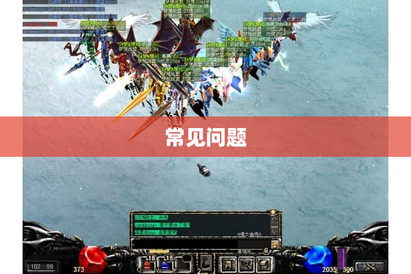 常见问题