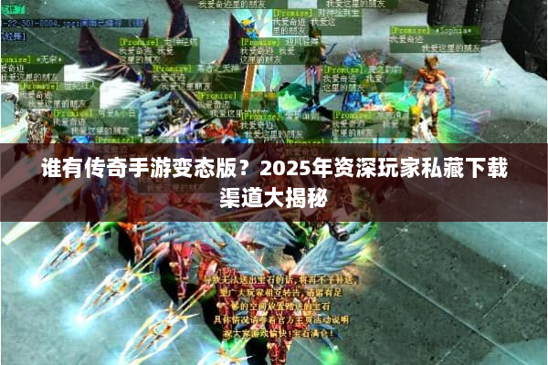 谁有传奇手游变态版？2025年资深玩家私藏下载渠道大揭秘