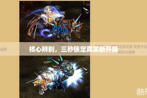 核心辨别,三秒锁定真实新开服 核心辨别,三秒锁定真实新开服