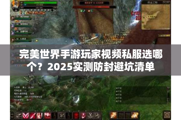 完美世界手游玩家视频私服选哪个？2025实测防封避坑清单