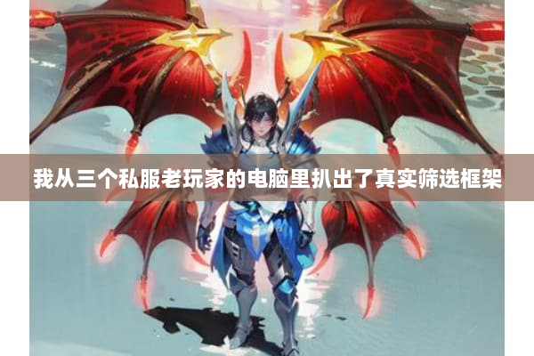 我从三个私服老玩家的电脑里扒出了真实筛选框架 我从三个私服老玩家的电脑里扒出了真实筛选框架