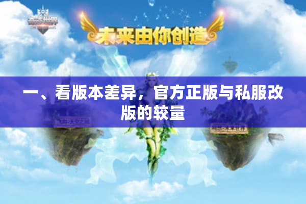 一、看版本差异,官方正版与私服改版的较量 一、看版本差异,官方正版与私服改版的较量