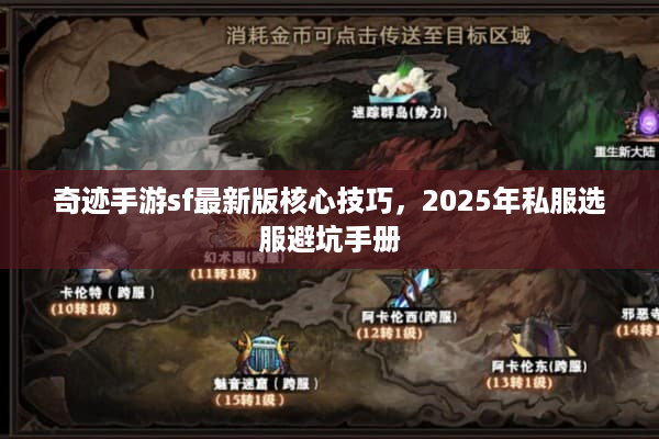 奇迹手游sf最新版核心技巧，2025年私服选服避坑手册
