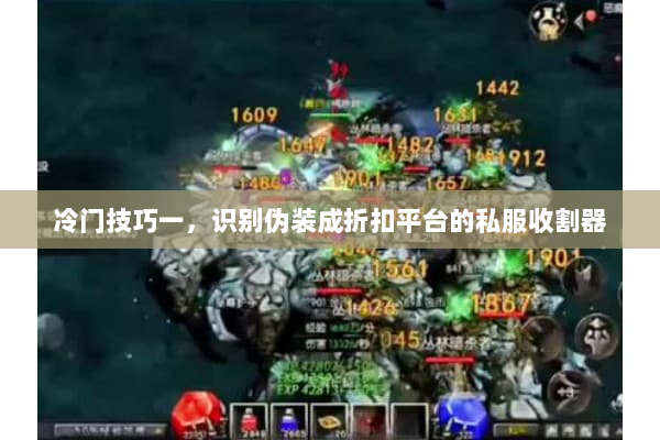 冷门技巧一，识别伪装成折扣平台的私服收割器