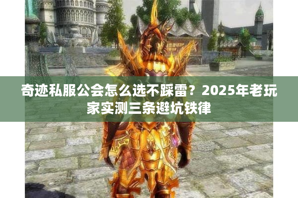 奇迹私服公会怎么选不踩雷？2025年老玩家实测三条避坑铁律