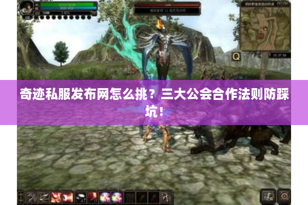奇迹私服发布网怎么挑？三大公会合作法则防踩坑！
