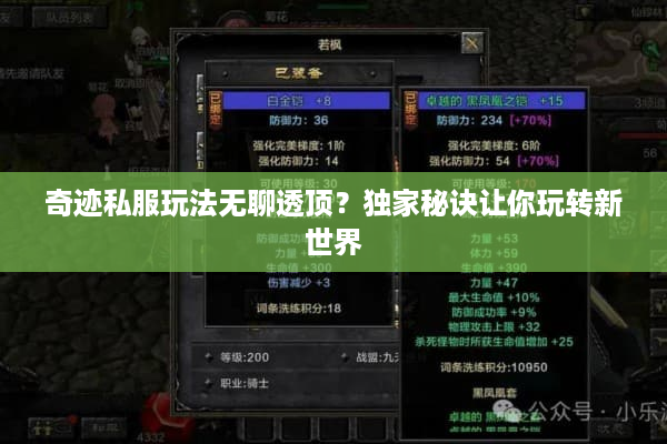 奇迹私服玩法无聊透顶？独家秘诀让你玩转新世界