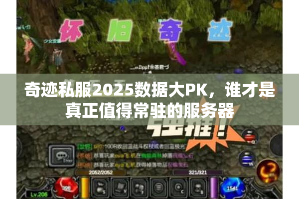 奇迹私服2025数据大PK，谁才是真正值得常驻的服务器