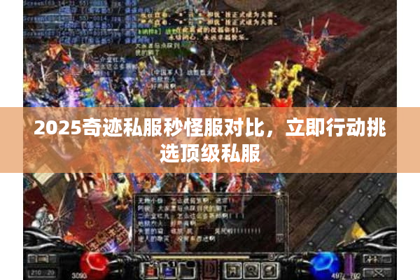 2025奇迹私服秒怪服对比，立即行动挑选顶级私服