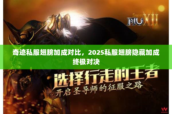 奇迹私服翅膀加成对比，2025私服翅膀隐藏加成终极对决