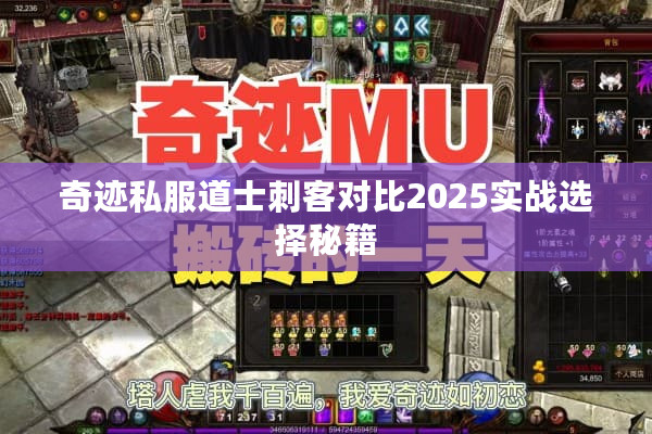 奇迹私服道士刺客对比2025实战选择秘籍