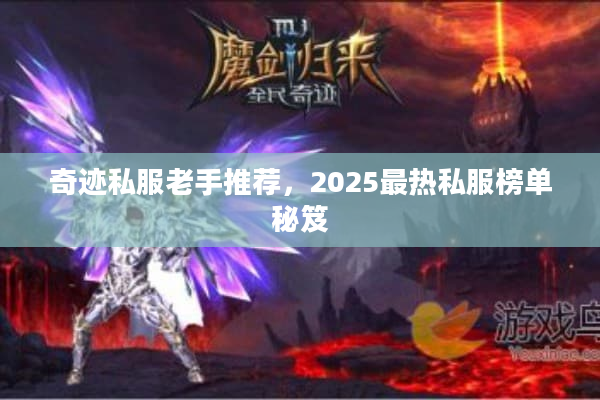 奇迹私服老手推荐,2025最热私服榜单秘笈 奇迹私服老手推荐,2025最热私服榜单秘笈