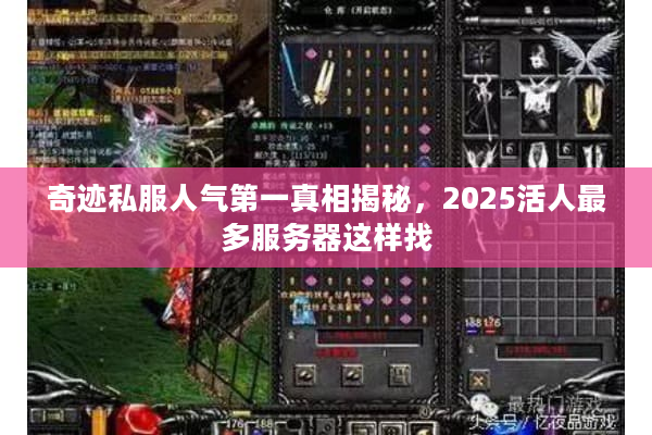 奇迹私服人气第一真相揭秘，2025活人最多服务器这样找