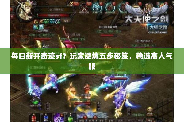 每日新开奇迹sf？玩家避坑五步秘笈，稳选高人气服