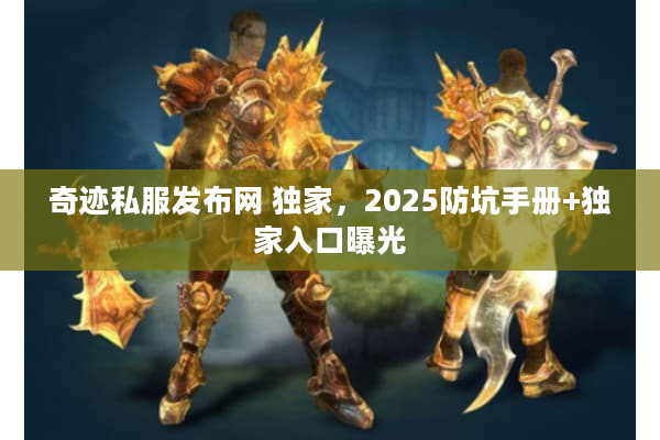 奇迹私服发布网 独家，2025防坑手册+独家入口曝光