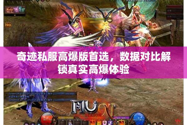 奇迹私服高爆版首选，数据对比解锁真实高爆体验