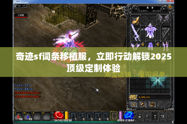 奇迹sf词条移植服，立即行动解锁2025顶级定制体验
