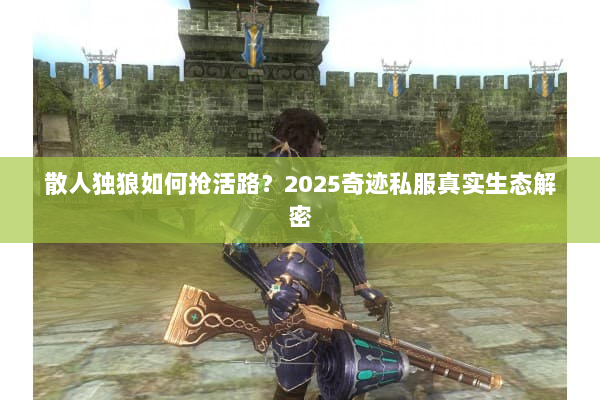 散人独狼如何抢活路？2025奇迹私服真实生态解密