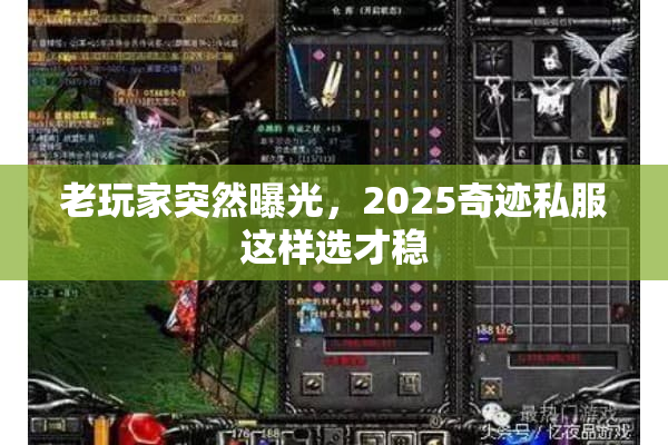 老玩家突然曝光,2025奇迹私服这样选才稳 老玩家突然曝光,2025奇迹私服这样选才稳