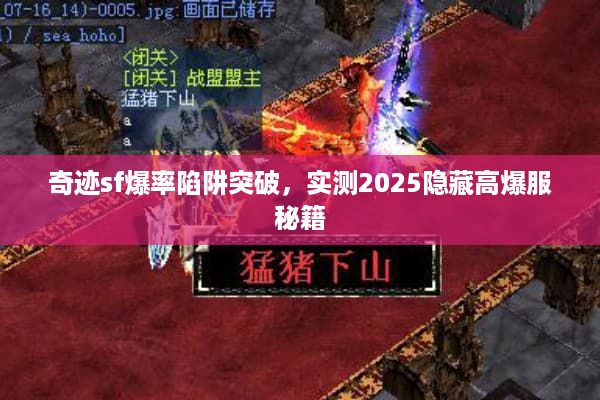 奇迹sf爆率陷阱突破,实测2025隐藏高爆服秘籍 奇迹sf爆率陷阱突破,实测2025隐藏高爆服秘籍