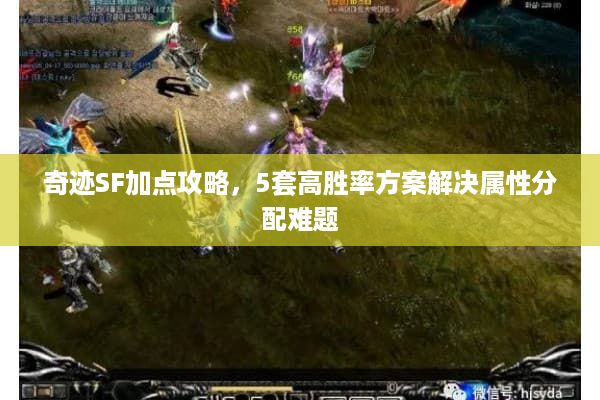 奇迹SF加点攻略，5套高胜率方案解决属性分配难题