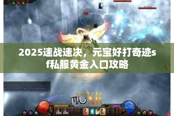 2025速战速决,元宝好打奇迹sf私服黄金入口攻略 2025速战速决,元宝好打奇迹sf私服黄金入口攻略