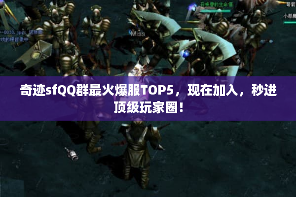 奇迹sfQQ群最火爆服TOP5，现在加入，秒进顶级玩家圈！