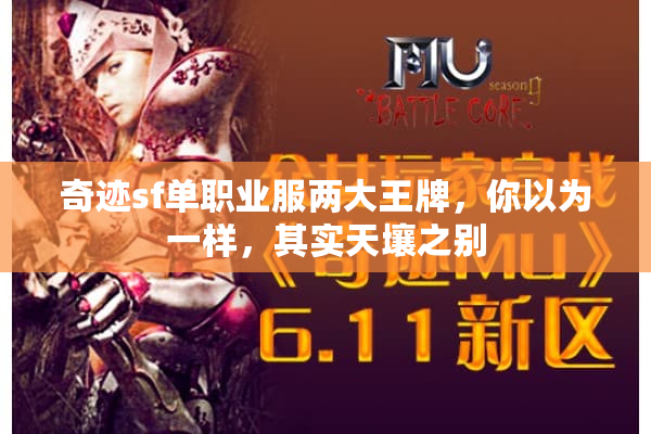 奇迹sf单职业服两大王牌，你以为一样，其实天壤之别